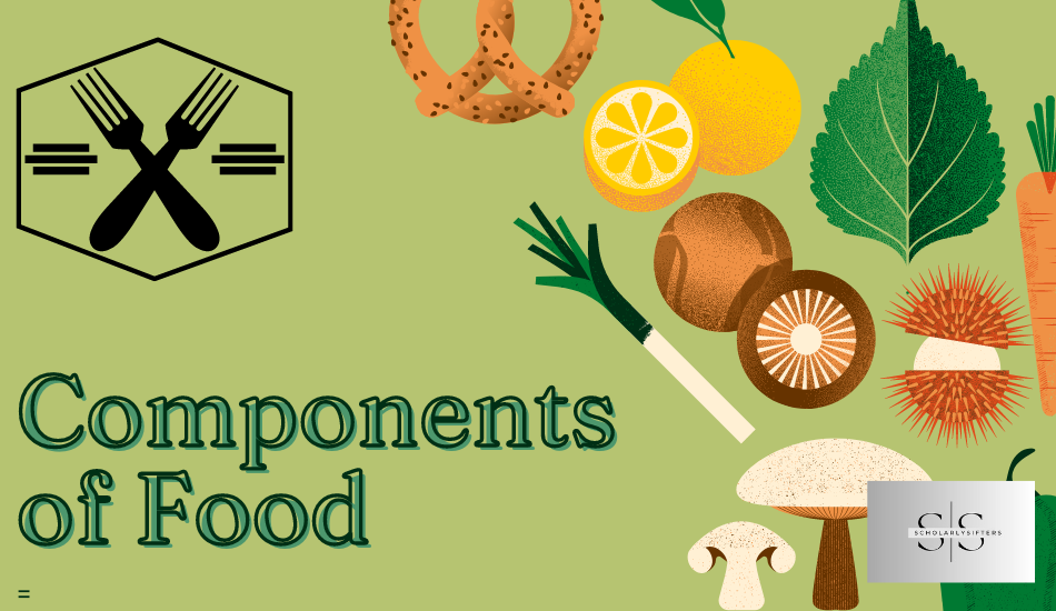 The Symphony of Nutrition: Unraveling the Harmonious Components of Foods that Fuel Your Body