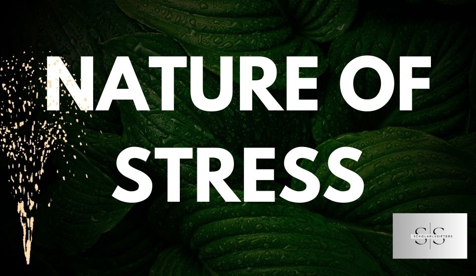 Understanding Nature of Stress: Examining Its Effects on the Body and Mind